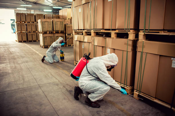 Best Cockroach Control Services  in Lifornia City, CA