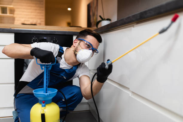 Best Bed Bug Extermination  in Lifornia City, CA