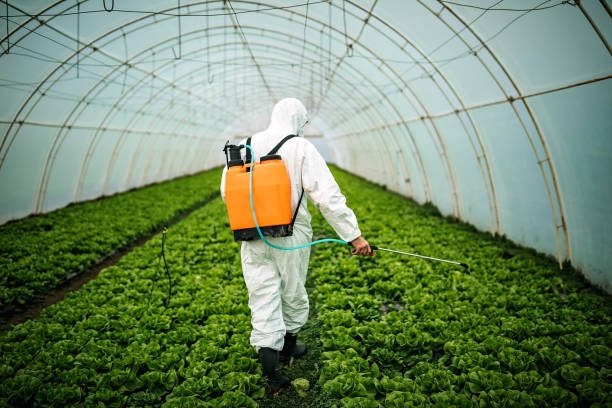 Best Best Pest Control Companies  in Lifornia City, CA