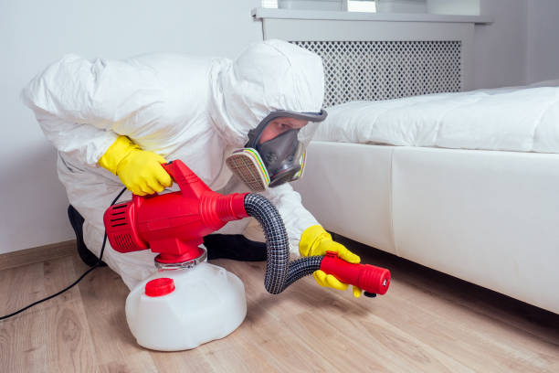 Best Termite Control Services  in Lifornia City, CA
