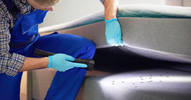 Best Local Pest Control Services  in Lifornia City, CA