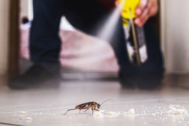 Best Pest Inspection Near Me  in Lifornia City, CA