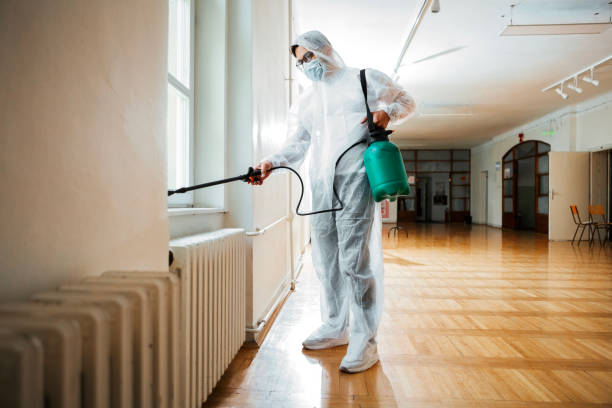 Trusted California City, CA Pest Control Experts