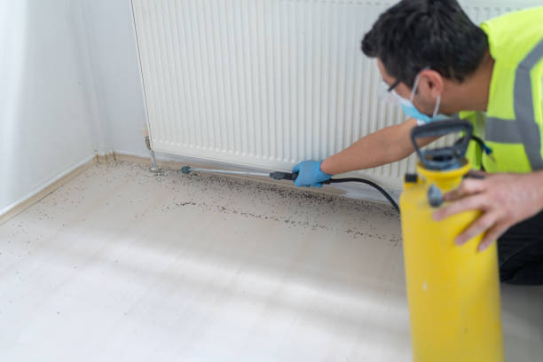 Flea Control Services in California City, CA