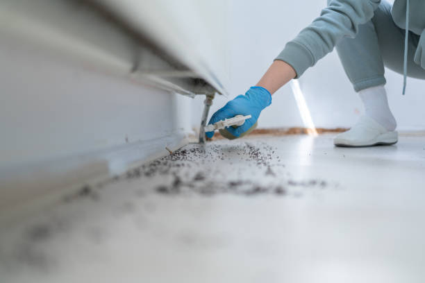 Wildlife Control Services in California City, CA